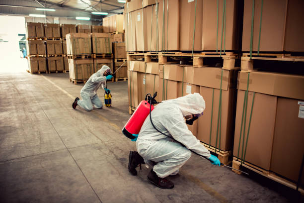 Best Best Pest Control Companies  in Chanute, KS