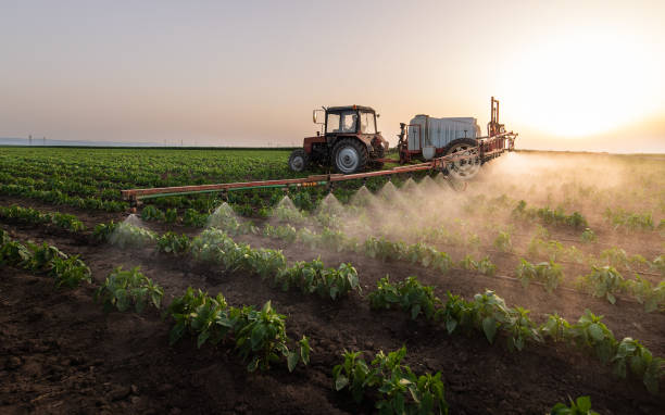 Best Pest Prevention Services  in Chanute, KS