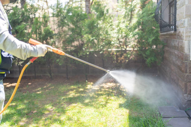 Best Insect Control  in Chanute, KS