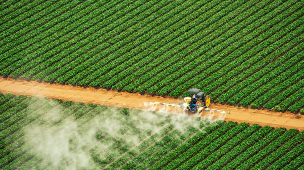 Best Best Pest Control Companies  in Chanute, KS