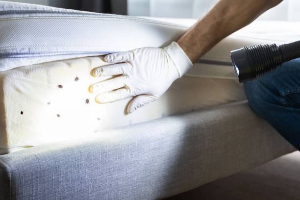 Best Commercial Pest Control Services  in Chanute, KS