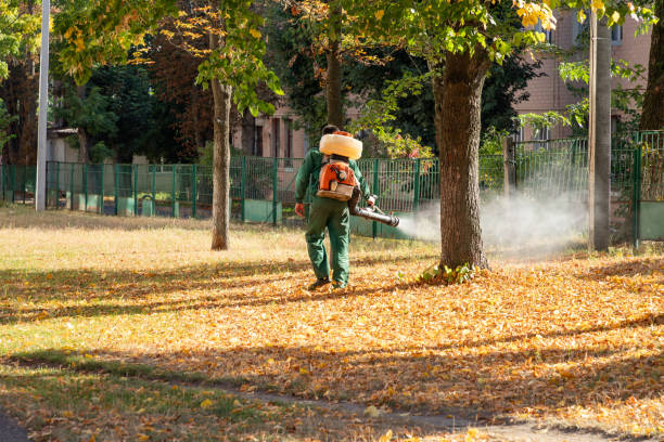Best Flea Control Services  in Chanute, KS