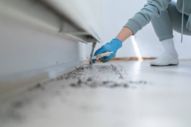 Best Pest Removal Services  in Chanute, KS