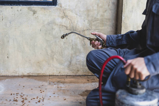 Pest Control for Restaurants in Chanute, KS